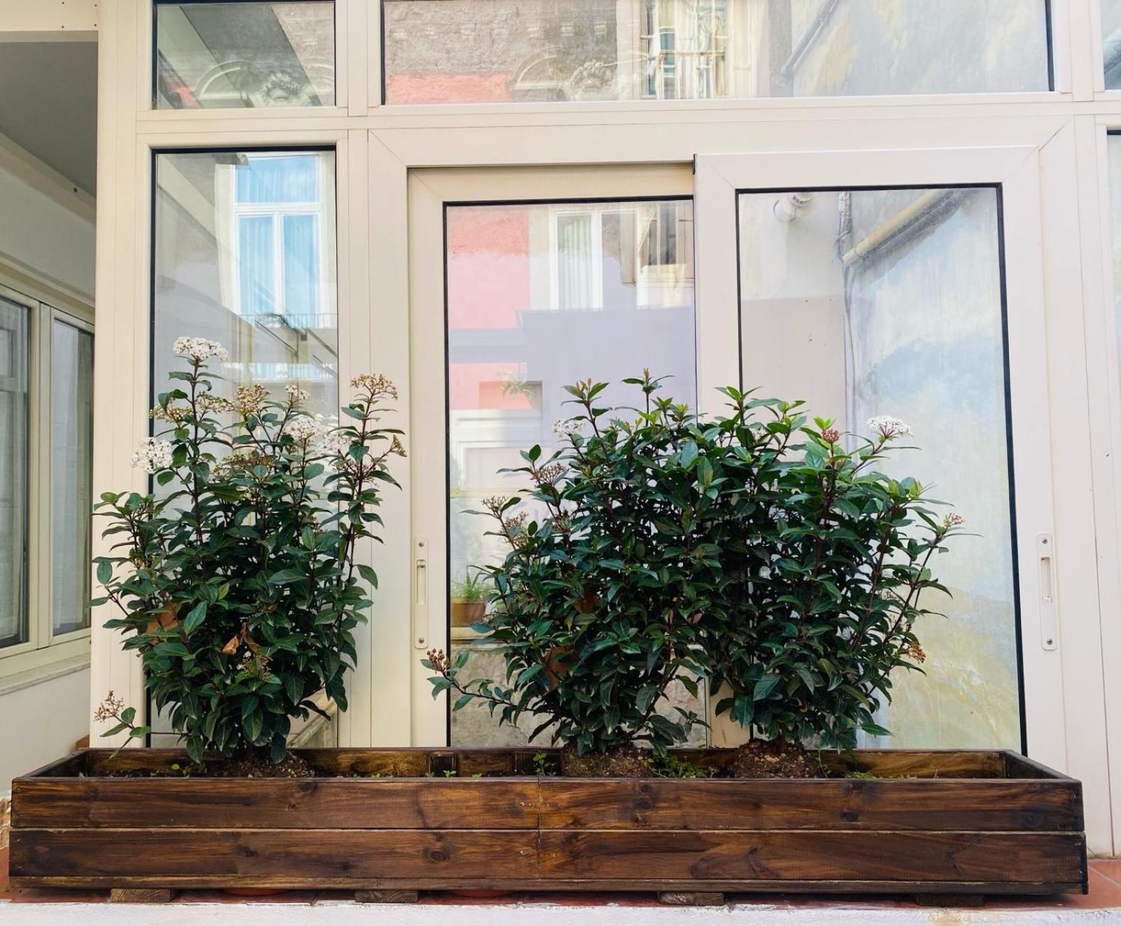 La Casa Di Apollo Apartman Nápoly Kültér fotó